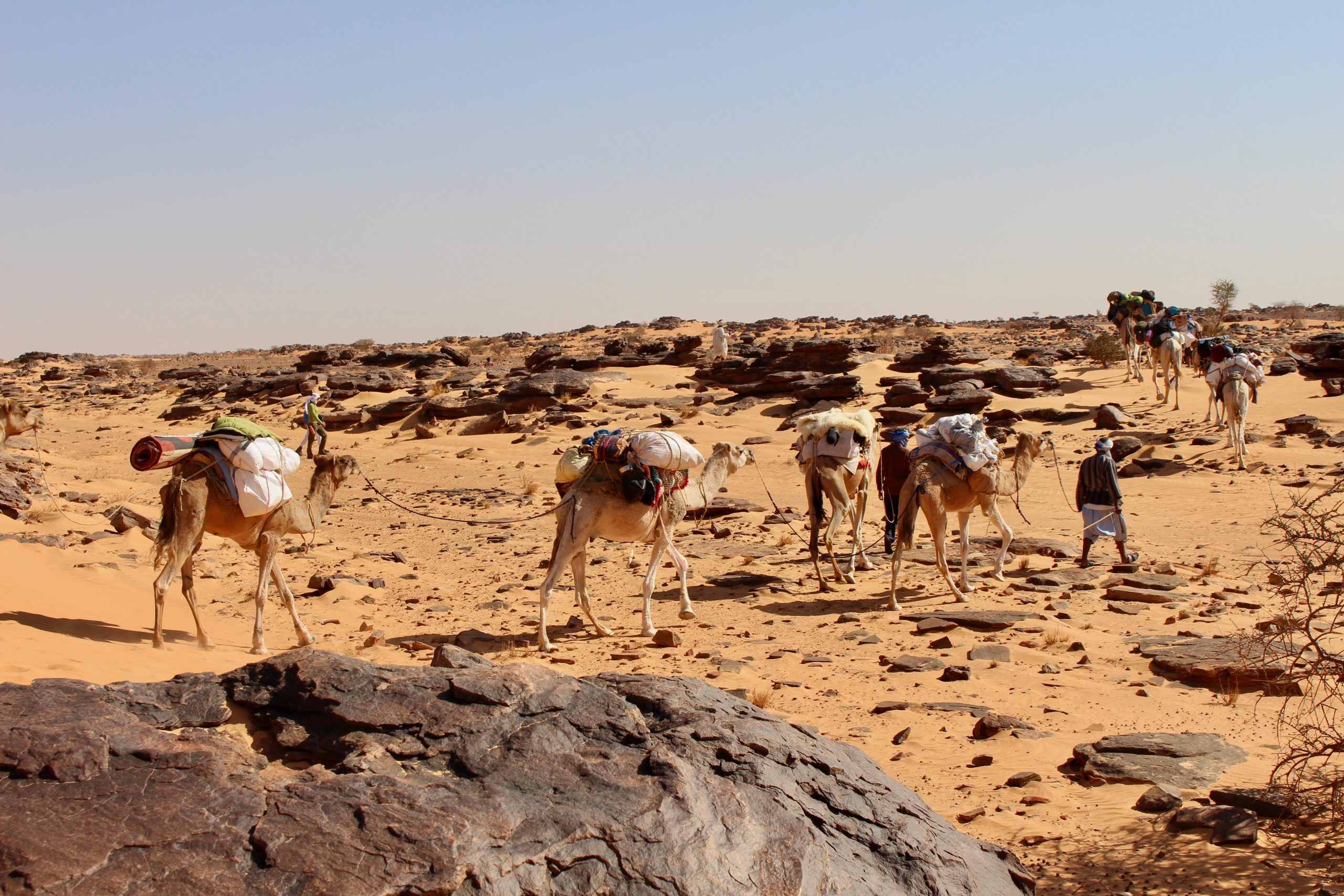 Traversée caravanière dans l'Erg Ouarane, Mauritanie