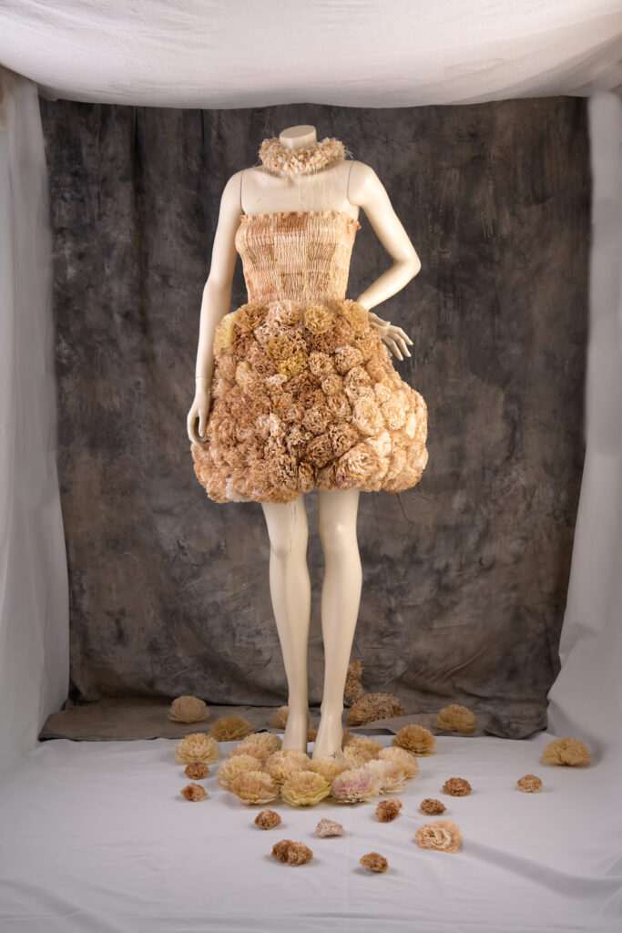 Collection Lalibellude Fashion photo shoot plan en pied / au studio Factory 5.42 Toulouse