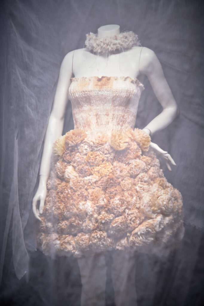 Collection Lalibellude Fashion photo shoot plan Américain derrière un voile / au studio Factory 5.42 Toulouse