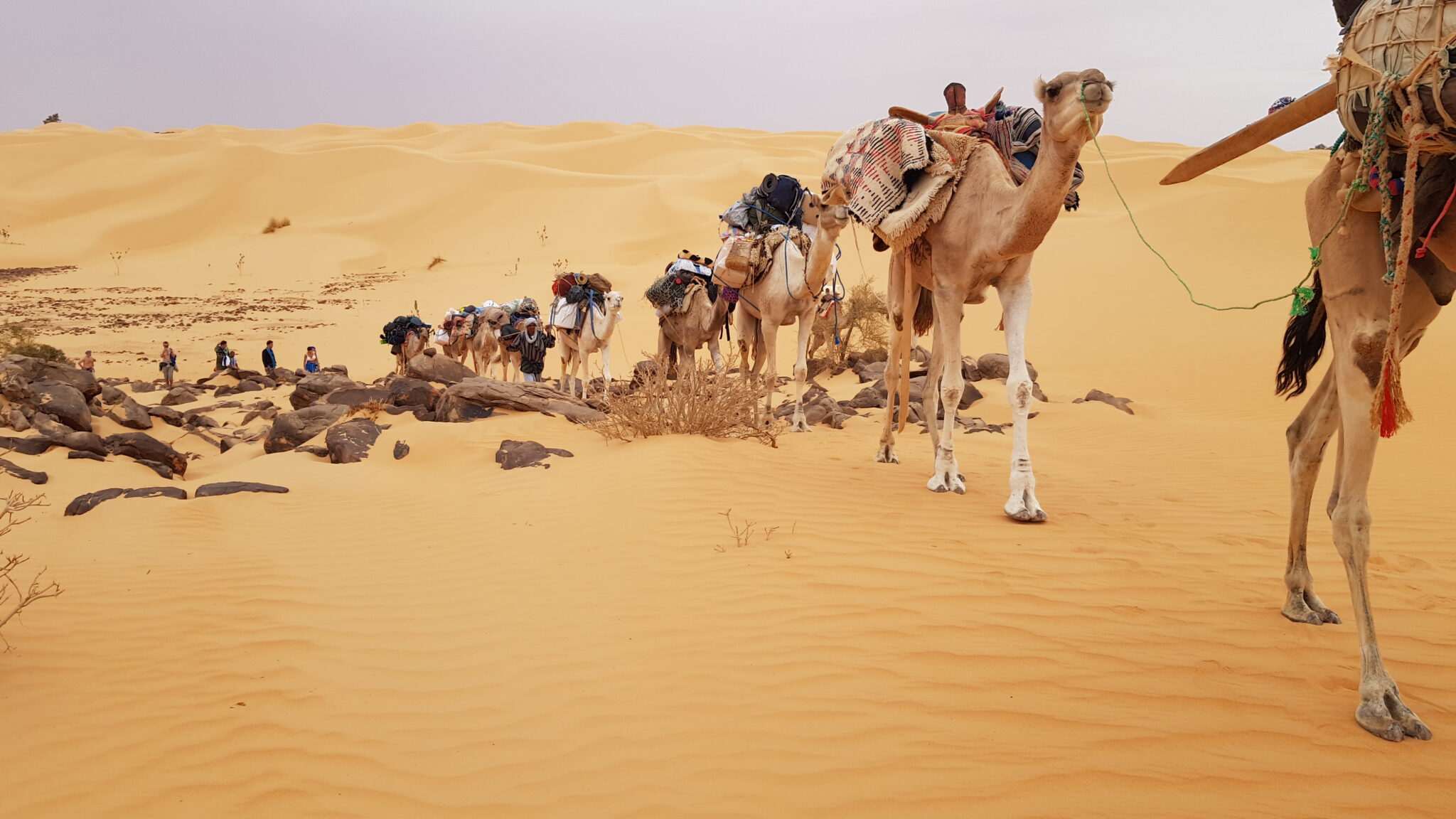 Reportage documentaire photographique - Mauritanie - méharée Erg Ouaran
