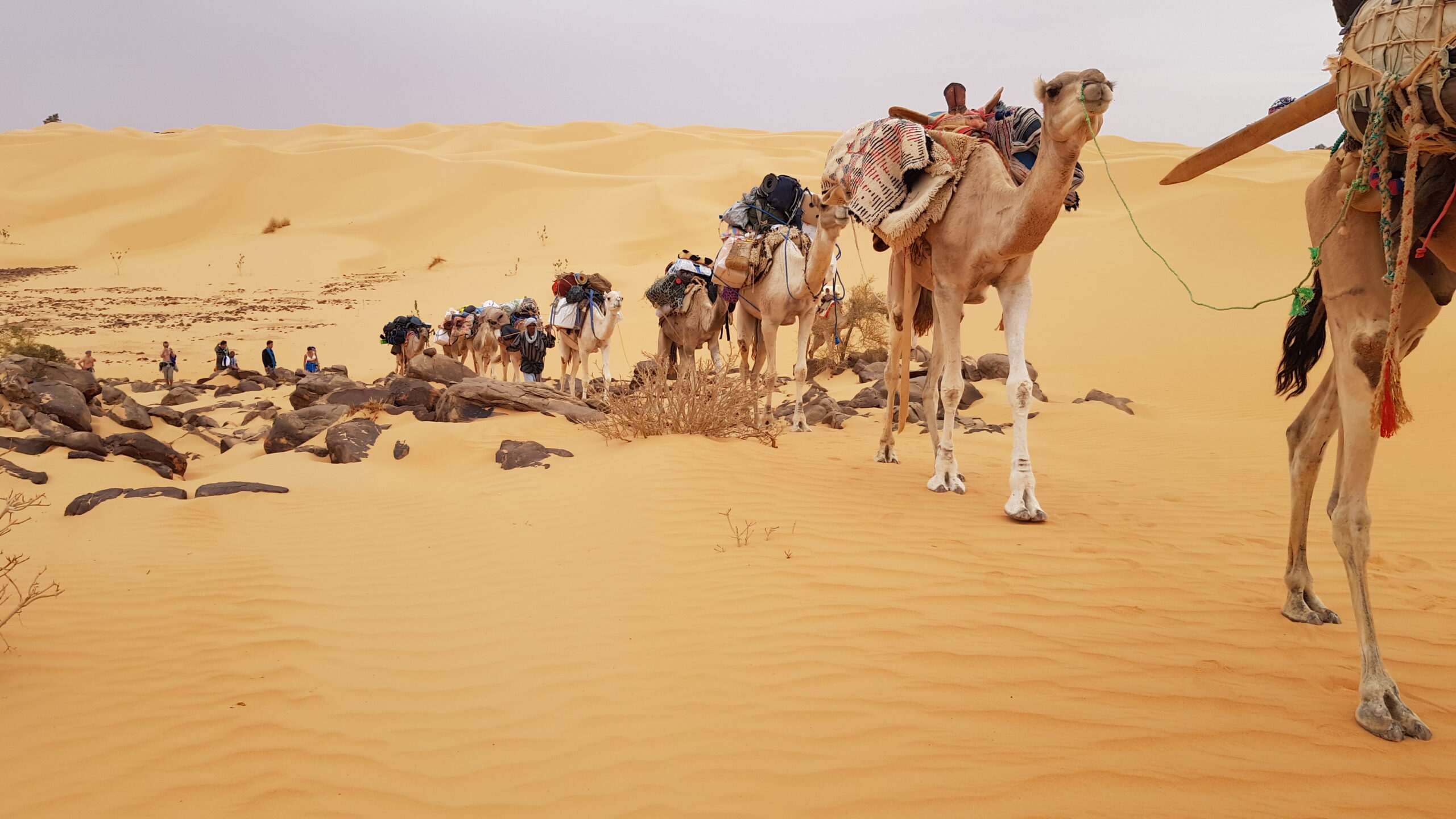 Reportage documentaire photographique - Mauritanie - méharée Erg Ouaran