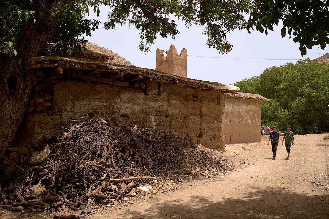 Description de la photo